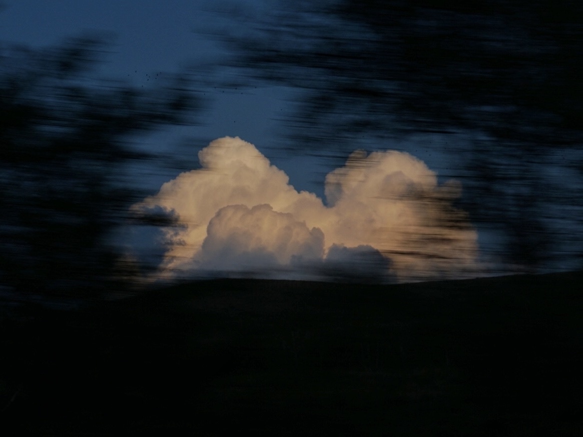 movement trace