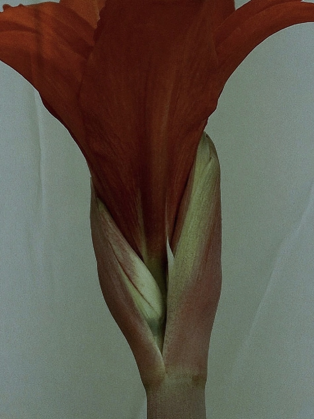 body in wind