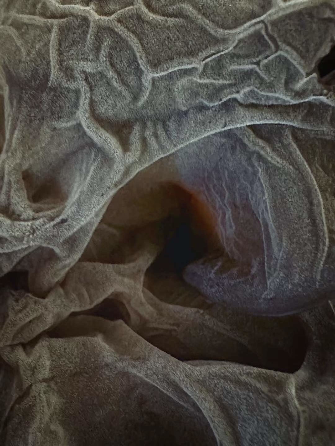 held instability